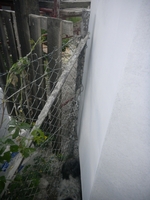 COOLPIX S1200pj, T:10/300, A:f/3.9, P:2, ISO200, F:50mm, EV:0 <br />12.06.2014 -  19:46:43